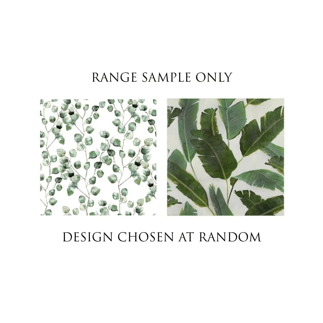 Sample of two botanical leaf patterns: eucalyptus and banana leaves on white backgrounds.