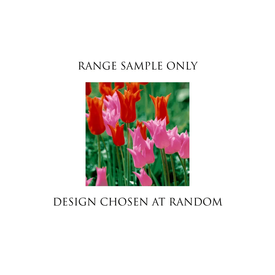 Vibrant red and pink tulips blooming in a garden